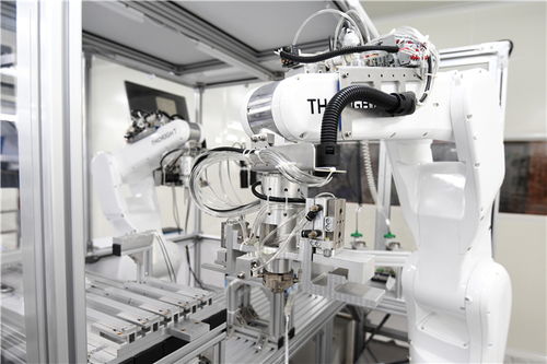 小膠囊沿西部陸海新通道遠航，數字技術賦能重慶企業造福全球